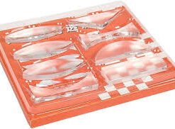 Optical parallel lens