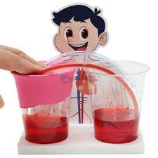 Simulates blood flow in the heart