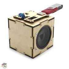 Wooden Speaker